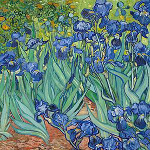 'Irises' 1889