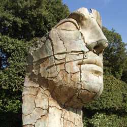 Visual Elements - Form