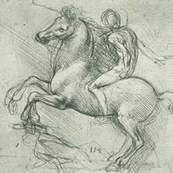 Visual Elements - Line